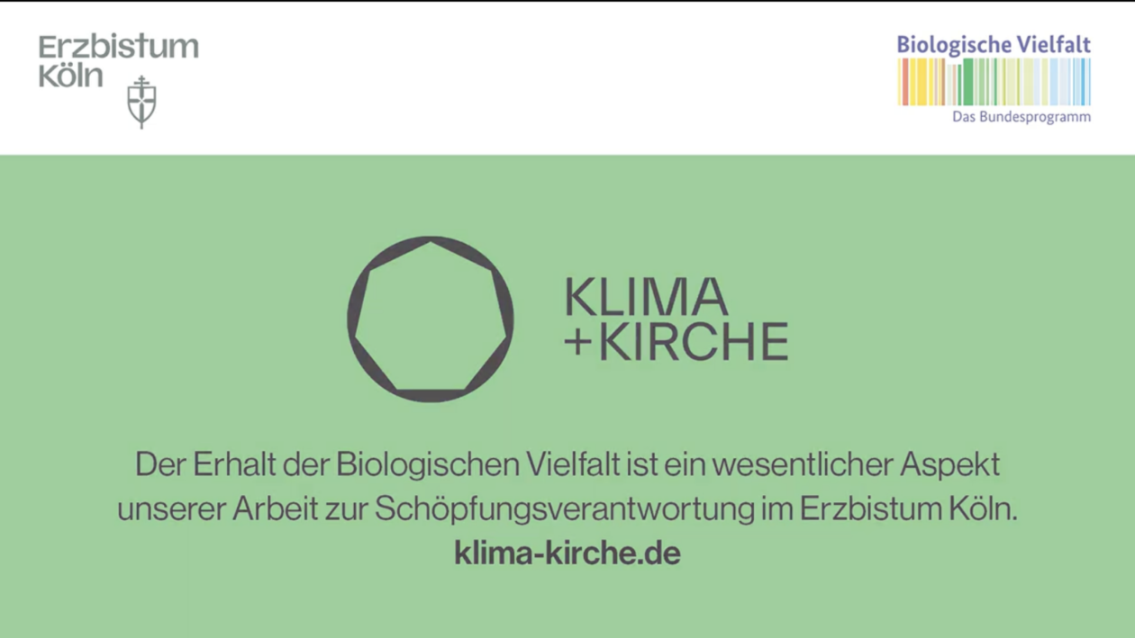 Bildschirmfoto 2025-10-06 um 20.29.19